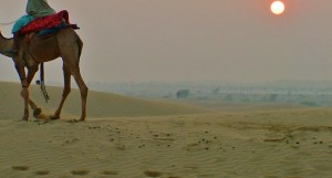 rider-on-camel-sunset