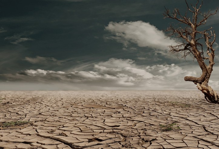 Barren earth death after life in Surah Al-Waqi’ah